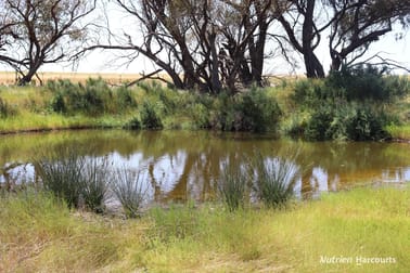 Corner Eaton & Rossmore Road Goomalling WA 6460 - Image 3