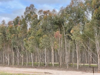Martup Downs, Leggoe Road Beaufort River WA 6394 - Image 2