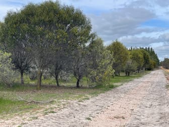 Martup Downs, Leggoe Road Beaufort River WA 6394 - Image 3