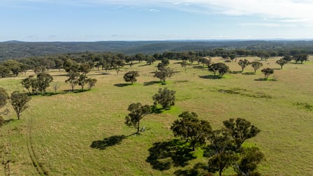 874 Ramah Road Guyra NSW 2365 - Image 1