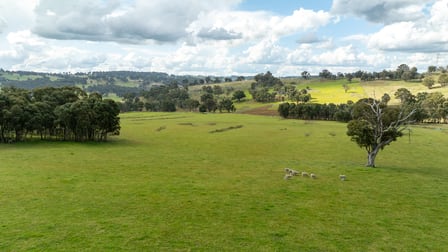 1546 Baldersleigh Road Baldersleigh NSW 2365 - Image 3