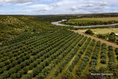 1443 Company Road Greenough WA 6532 - Image 3