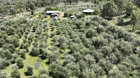 20 Kurrajong Road Coonabarabran NSW 2357 - Image 2