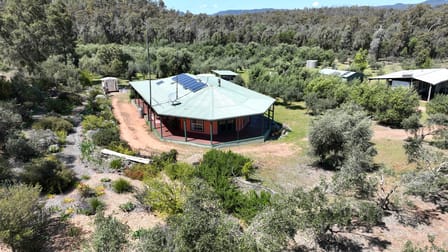 20 Kurrajong Road Coonabarabran NSW 2357 - Image 3