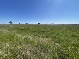 251L Mogriguy Road Dubbo NSW 2830 - Image 1