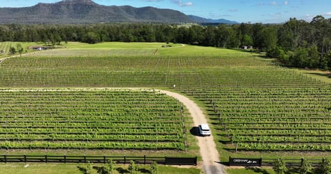350 Wollombi Road Broke NSW 2330 - Image 2