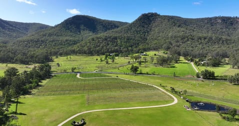 350 Wollombi Road Broke NSW 2330 - Image 3