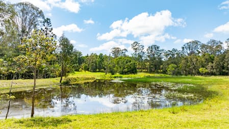 7 Woodhill Road Kandanga QLD 4570 - Image 3