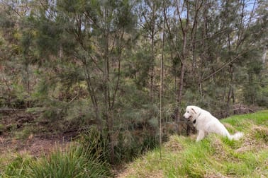 "Pierces Pocket" George Road (via Fitch & White Roads) Pierces Creek QLD 4355 - Image 3