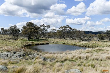 "Westons" 282 Hilltop Road Hill Top NSW 2628 - Image 2