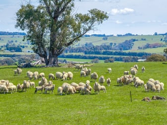 3444 Laggan Road Crookwell NSW 2583 - Image 1