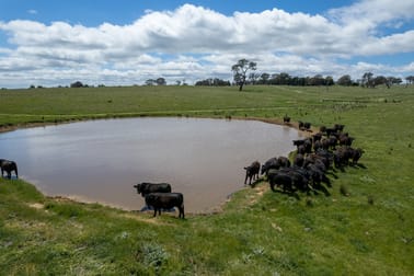 239 Longrail Gully Road Murrumbateman NSW 2582 - Image 1
