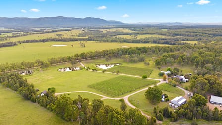 447 Old North Road Pokolbin NSW 2320 - Image 1