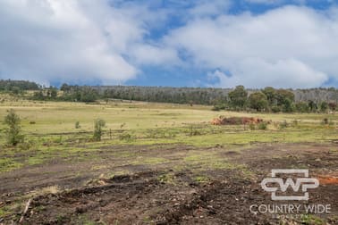 92, 470 Silent Grove Road Torrington NSW 2371 - Image 3