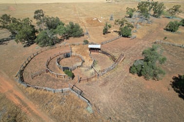 3282 Gungalman Road Carinda NSW 2831 - Image 3