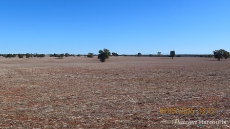 Click to view all images * KALLARA, 881 Kallara Road Hermidale NSW 2831 - Image 2