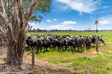 2217 Henderson Road Girgarre VIC 3624 - Image 2