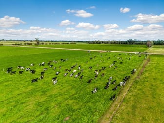 818 Henderson Road Tongala VIC 3621 - Image 3
