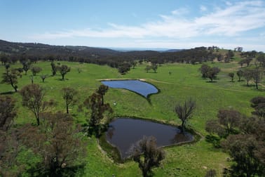 195 Burges Road Caloola NSW 2795 - Image 1