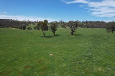 195 Burges Road Caloola NSW 2795 - Image 3