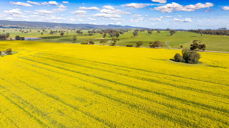 1791 Olympic Highway Culcairn NSW 2660 - Image 1