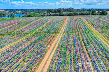 South Kolan QLD 4670 - Image 3