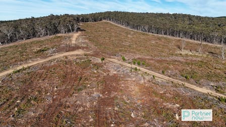 "Cameron's Hill" Delegate Road Delegate NSW 2633 - Image 3