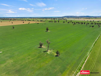 4082 Milvale Road Young NSW 2594 - Image 2