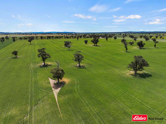 4082 Milvale Road Young NSW 2594 - Image 3