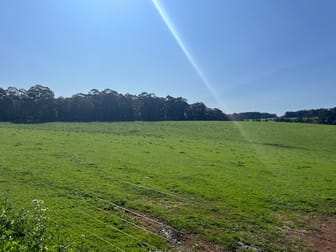 Lot 500 Pipe Clay Gully Road Manjimup WA 6258 - Image 2