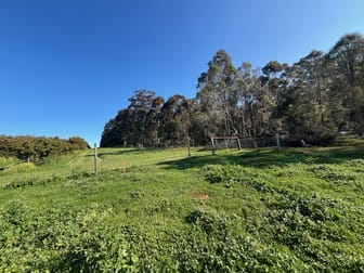 Lot 500 Pipe Clay Gully Road Manjimup WA 6258 - Image 3