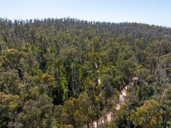 Lot 452 The Snake Track Via Kiah Eden NSW 2551 - Image 3