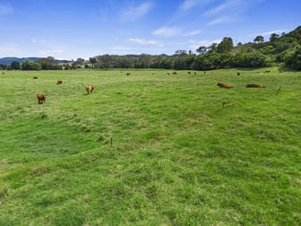 LOT 5 - 182 Kenilworth-Brooloo Road Kenilworth QLD 4574 - Image 3