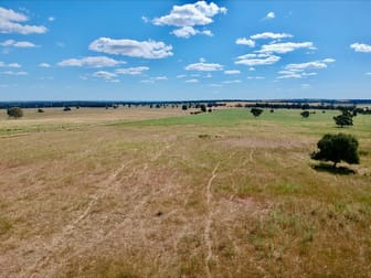 1032 Manna Forest Rd Burcher NSW 2671 - Image 1