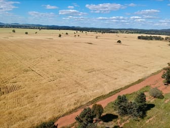 1032 Manna Forest Rd Burcher NSW 2671 - Image 2