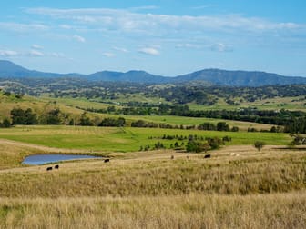 311 Miranee Road Gundy NSW 2337 - Image 1