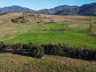 311 Miranee Road Gundy NSW 2337 - Image 2