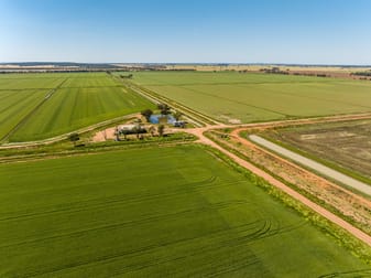 Boundary Road Murrami NSW 2705 - Image 3