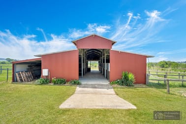 196 Biddaddaba Road Boyland QLD 4275 - Image 3