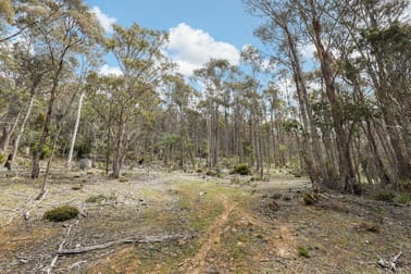 0 Tunbridge Tier Road Tunbridge TAS 7120 - Image 3