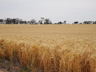 1799 Nambadalling Road Corrigin WA 6375 - Image 2