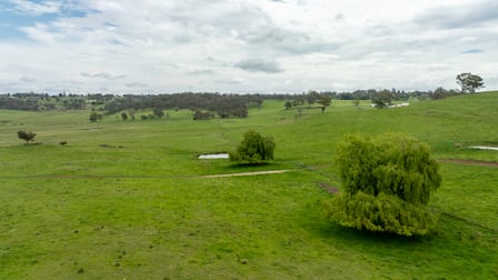 75 Blush Road Guyra NSW 2365 - Image 1