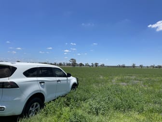 "Silverleigh" 267 Kingsthorpe Silverleigh Road Yalangur QLD 4352 - Image 2