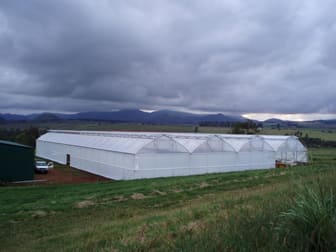 Gardening  business for sale in QLD - Image 2