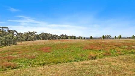 179 Bosworth Falls Road O'connell NSW 2795 - Image 3