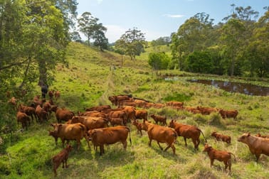 1562-1620 NORTH ARM ROAD Argents Hill NSW 2449 - Image 3