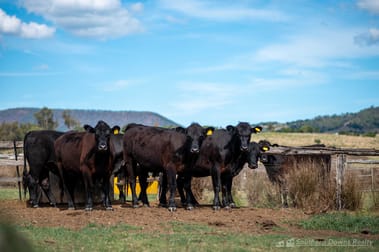 130 Tannymorel - Mt Colliery Road Tannymorel QLD 4372 - Image 2