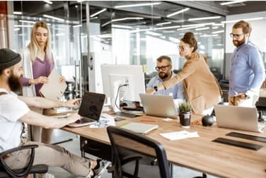 Professional  business for sale in Sydney - Image 3