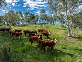 Norwood Road Goulburn NSW 2580 - Image 3