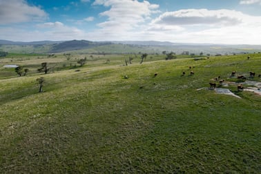 4005 Delegate Road Delegate NSW 2633 - Image 2